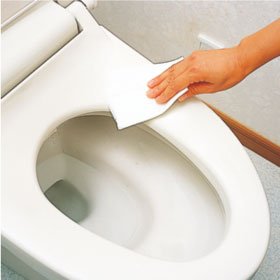 代表的なトイレが詰まる原因:お掃除シート