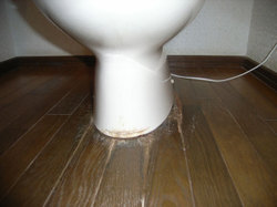 トイレ床の水漏れケース別対処法まとめ:便器の結露の対策や原因と直し方その2